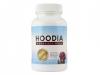 Køb Oxypregnane Steroidal Glycoside (Hoodia) Ingen modtagelse nødvendig